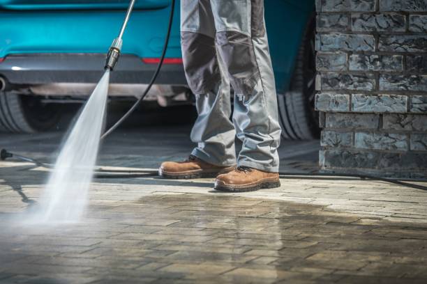 Best Driveway Cleaning and Restoration in Lynwood, CA