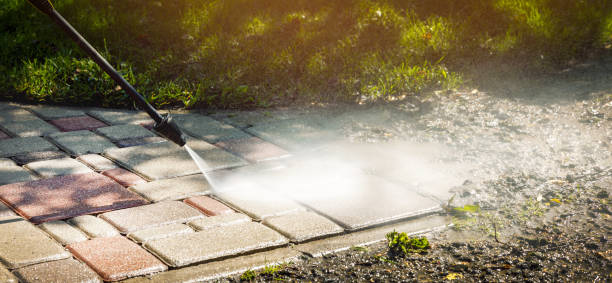 Best Vinyl Siding Pressure Washing in Lynwood, CA